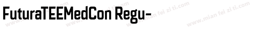 FuturaTEEMedCon Regu字体转换